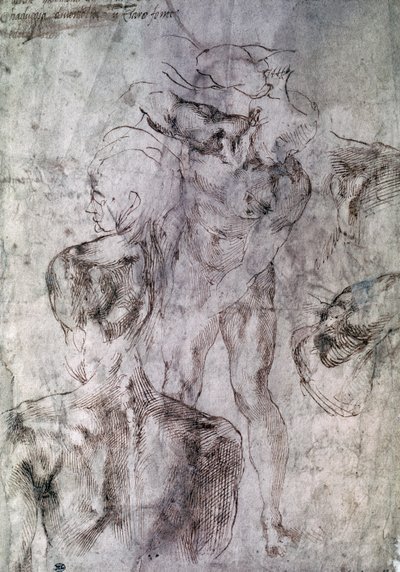 Varios estudios, reverso del Estudio para David de Michelangelo Buonarroti